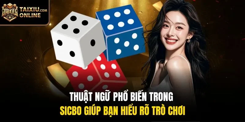 Thuật ngữ phổ biến trong Sicbo gi&uacute;p bạn hiểu r&otilde; tr&ograve; chơi